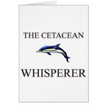 The Cetacean Whisperer cards