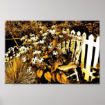 The Chair in Carol's Garden posters