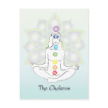 The Chakras Post Card