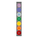 The Chakras Poster posters