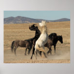 The Challenge Print