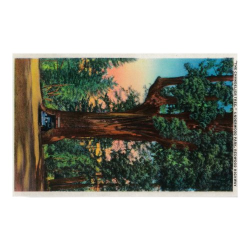 The Chandelier Tree, Underwood Park print