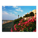 east battery, battery, charleston, postcard, south