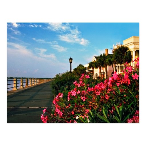 The Charleston Battery Post Card