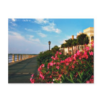 The Charleston Battery Post Card