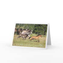 The Chase cards by brookhouse The Chase cards