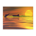 best selling laptops | dolphin, shark, sunrise, sunset, fight for life, dolphin, shark, sunrise, sunset, fight for life,