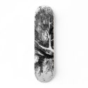The cheshire cat skateboards
