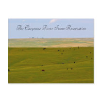 The Cheyenne River Sioux Reservation Post Card