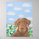 The Chocolate Labrador Posters