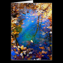 The Circle of Seasons Blank Greeting Card cards