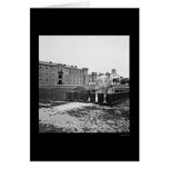 The Citadel in Charleston, SC 1865 cards