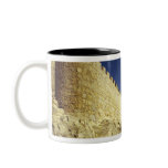 The city walls mugs
