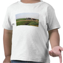 The Clos de Vougeot 16th century monastery and T-shirts