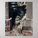 The Collapse posters