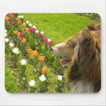 The Collie N More Tulips Mouse Pad mousepads