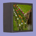 The Collie N the Tulips Trinket Box premium gift boxes