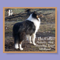 The Collie: posters