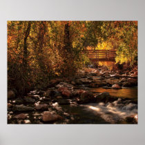 The Color Of Autumn posters