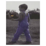 The Color of Innocence Flyer Design