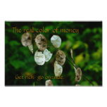 The Color of Money Photo