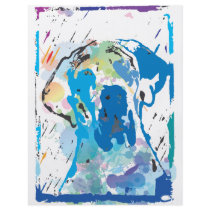 The colors Dane Flyer