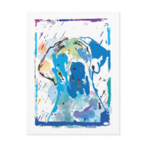The colors Dane Postcard