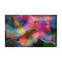 The Colors In Hair posters