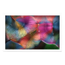 The Colors In Hair posters