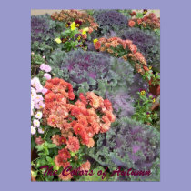 The Colors of Autumn posters