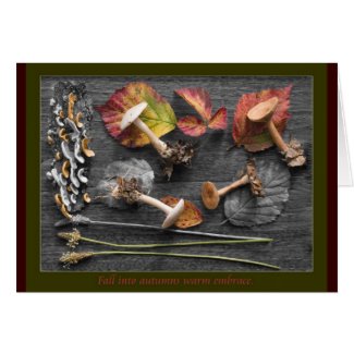 The colors of Fall card