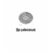 EDUN LIVE Genesis Unisex Standard Crew