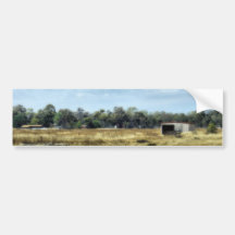 The Colour of Summer - Australia Bumper Sticker