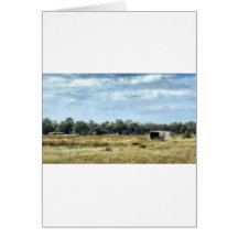 The Colour of Summer - Australia Greeting Card