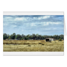 The Colour of Summer - Australia Greeting Cards