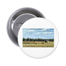The Colour of Summer - Australia Pinback Buttons