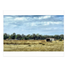 The Colour of Summer - Australia Postcard