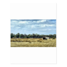 The Colour of Summer - Australia Postcards
