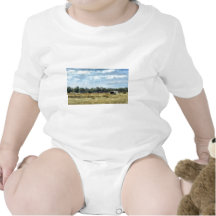 The Colour of Summer - Australia Shirt