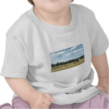 The Colour of Summer - Australia Tees