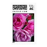 The Compassionate Friend Postage