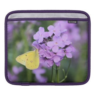 The Complimentary One Butterfly Photography Art iPad Sleeve