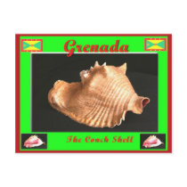 The Conch Shell postcards