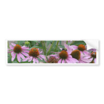 The Coneflower Dance bumper stickers