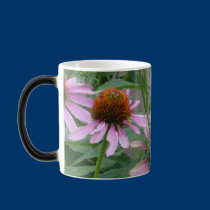 The Coneflower Dance mugs
