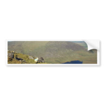The Connor Pass Bumper Sticker