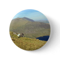 The Connor Pass Button