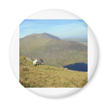 The Connor Pass Refrigerator Magnet
