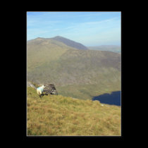 The Connor Pass postcards