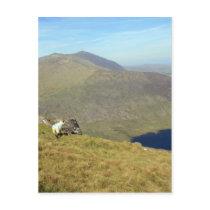 The Connor Pass Postcards